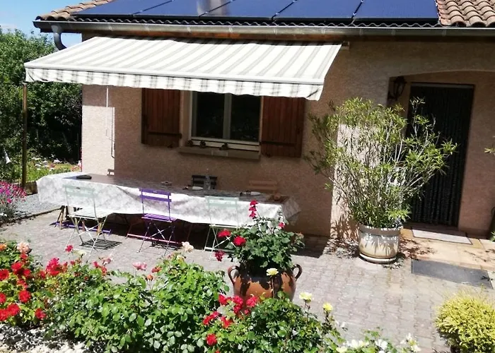 Les Merles Marcollin