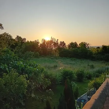 Homestay Les Merles Marcollin